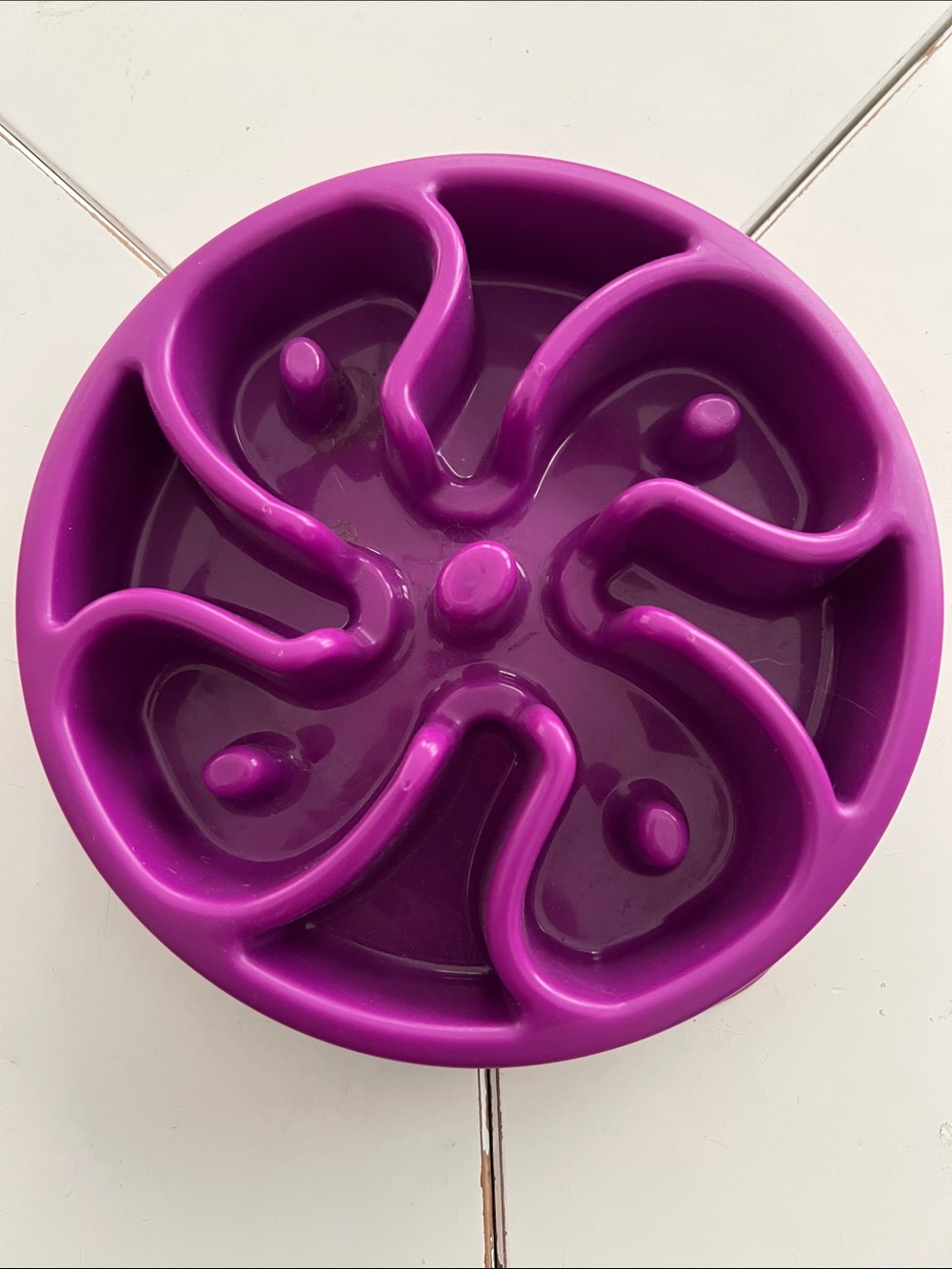 Outward Hound Slow Feed Bowl